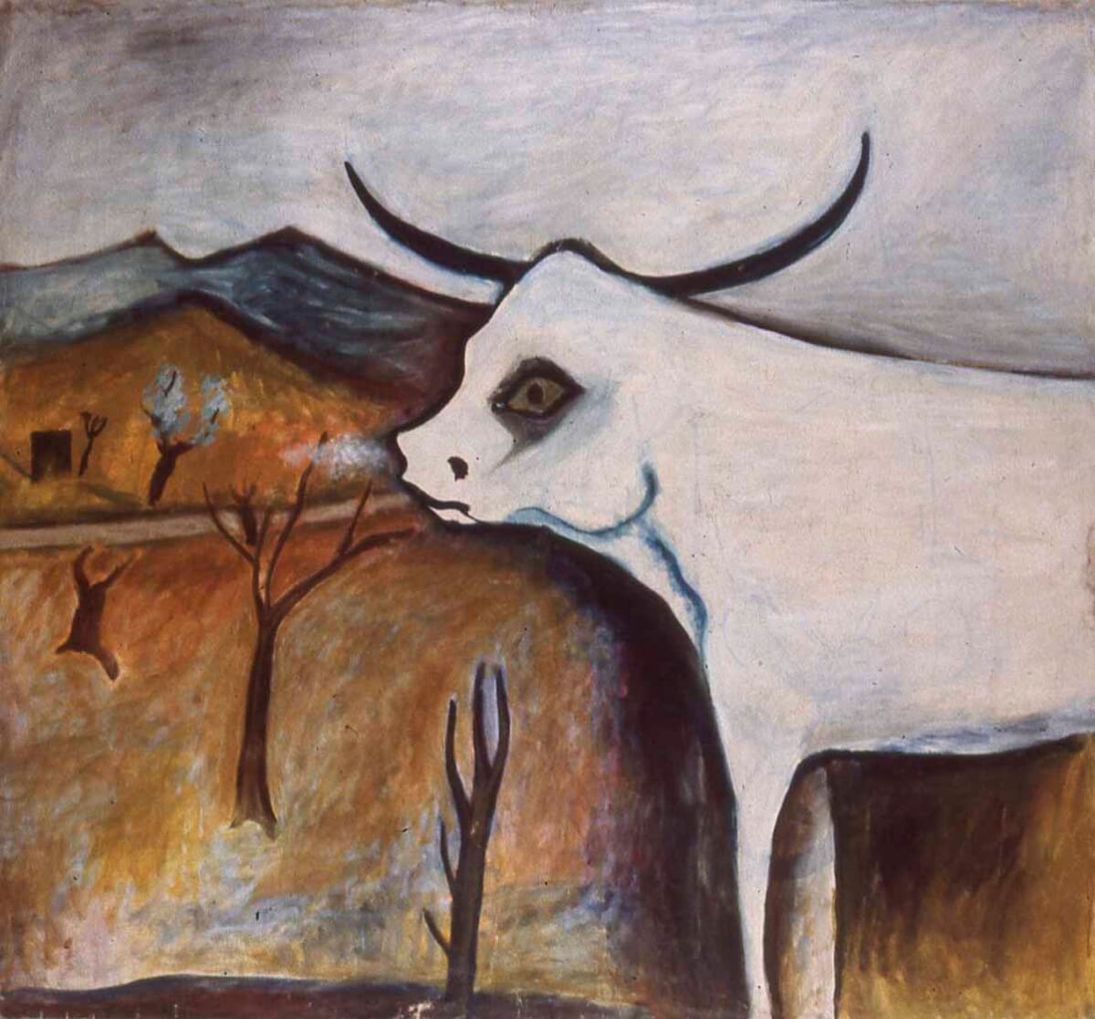 tuscan cow